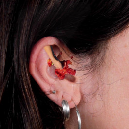 Truthful words are not beautiful 2022 