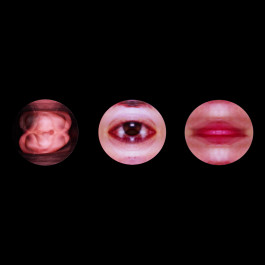 until i will let it go 